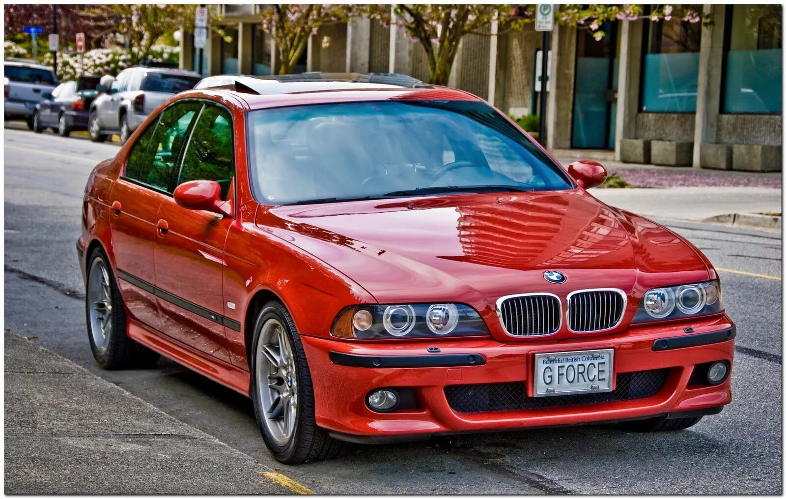 Мод на бмв е39. Bmw 5 е39. bmw e39 дорестайл. bmw e39 m. bmw m5 e39 красная.