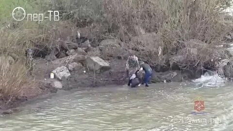Спасенная река
