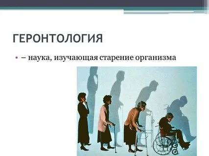 Геронтология что это в медицине простыми