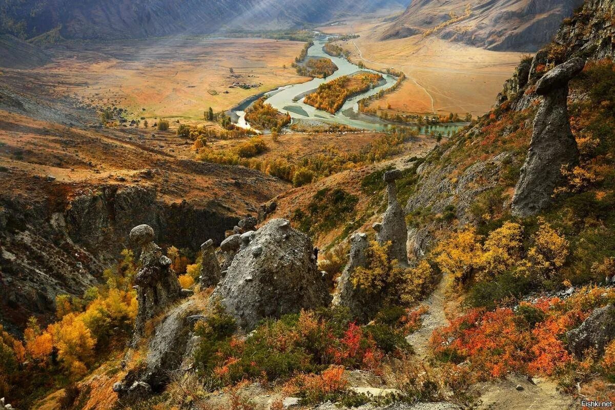 Долина осенью. Осень долина. Осень долина. Лес байдарская долина. Тунка природа.