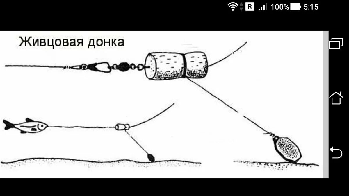 Оснастки на ловлю щуки. Донка на судака оснастка с берега на живца. Монтаж донной снасти для ловли судака. Оснастка на судака на живца на донку. Донка на судака на течении на живца.