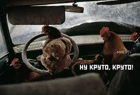 Но едет