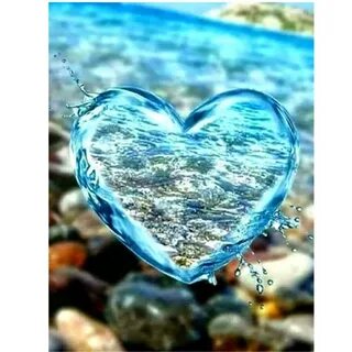 Какая любимая вода
