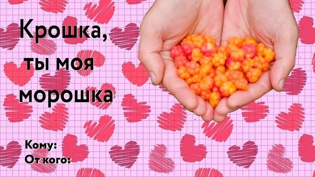 Люблю тебя моя крошка. Ты моя Морошка. Ты крошка. Ты моя крошка любимая.