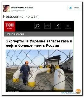 Эксперт версия