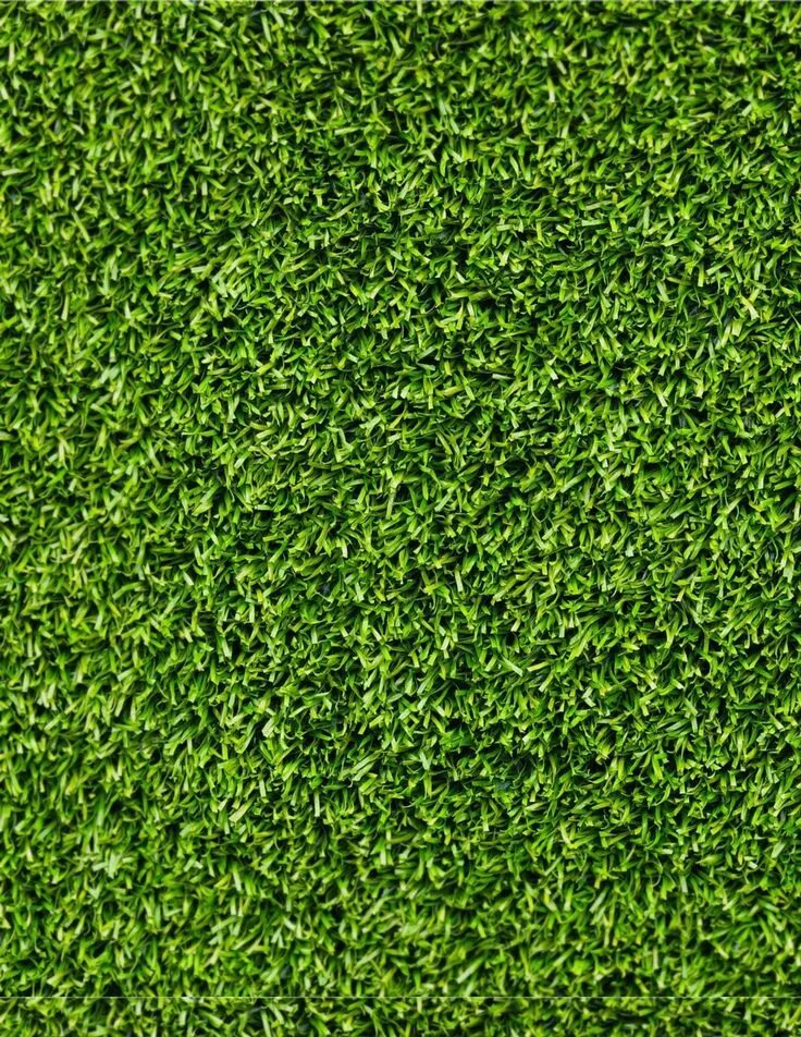 Texture 2