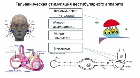 Стимуляция данных