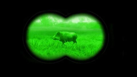 High tech hunt