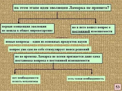 Первая концепция