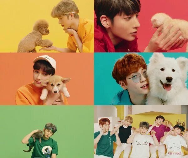 Tomorrow x together cat. Txt Кэт и дог. Cat Dog txt альбом. Ёнджун Cat Dog. Cat Dog txt обложка.