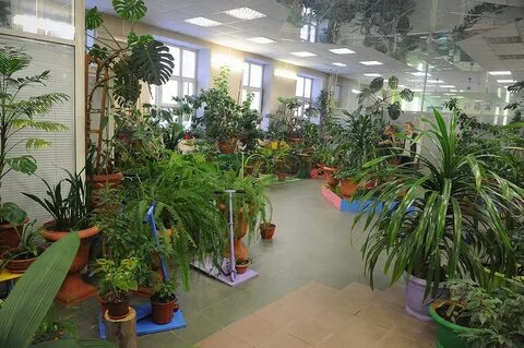 Сады школы магазины