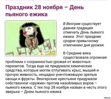 День пьяного ежика