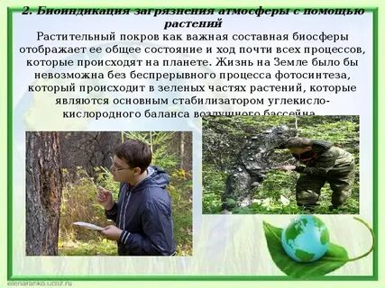 Биоиндикация