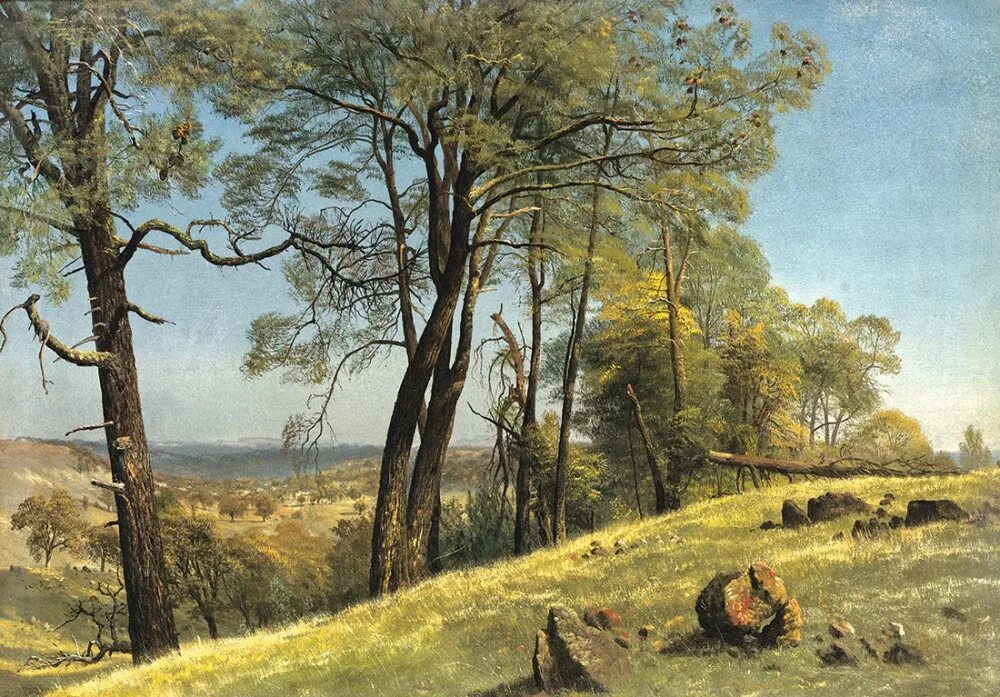 Репродукция что это такое. Albert Bierstadt (American, 1830-1902). Шишкин вид на острове Валааме 1858.
