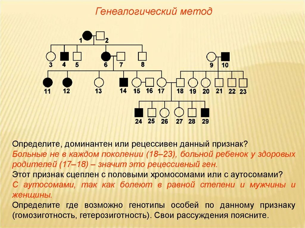 Генеалогический метод схема родословной. Метод родословных в генетике человека. Генеалогический метод генетики человека. Родословная по генетике. Какие волосы доминантные