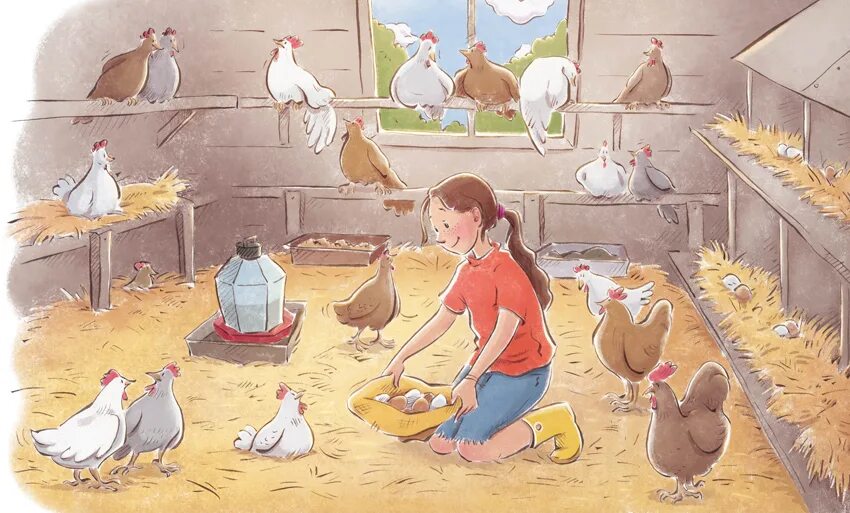 Картина дети кормят курицу и цыплят. Курица иллюстрация. Курятник картина. Птичник иллюстрация. Сюжетная картина Курочка.