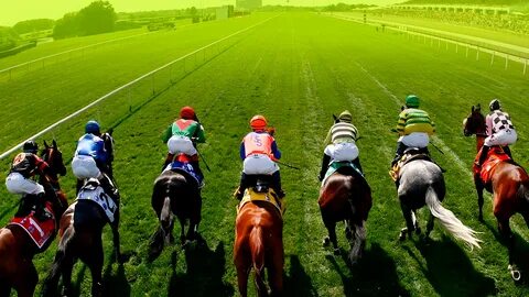 Horse race betting
