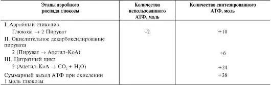 1 моль атф. Сколько моль АТФ образуется при окислении. Сколько АТФ образуется при окислении 2 моль Глюкозы. При окислении 1 моля Глюкозы образуется АТФ. Сколько моль АТФ образуется при окислении 1 моль Глюкозы.