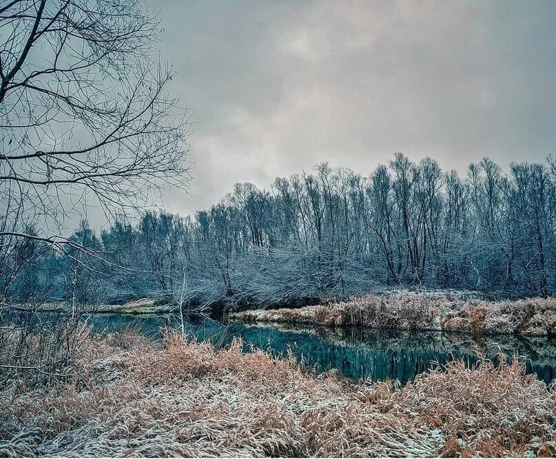 Липецк кривец. Кривец липецк. волчье липецкая область.