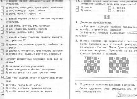 Уровневые задания по окружающему миру