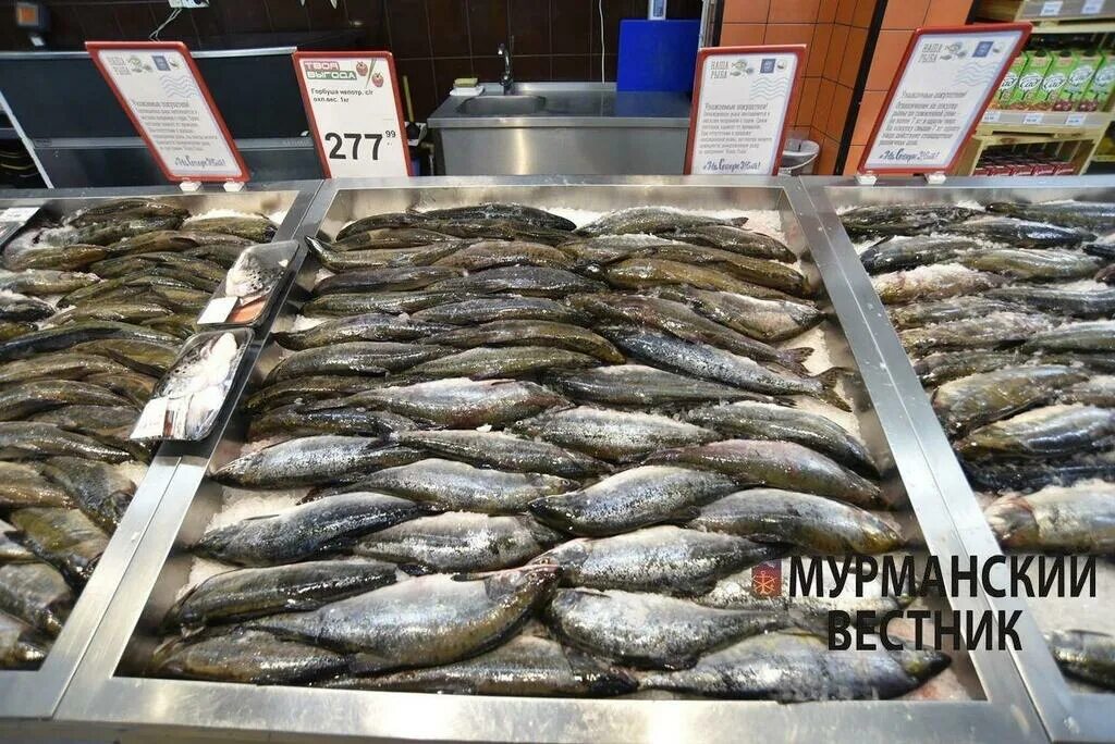 Где купить недорого рыбы. Ассортимент рыбы в магазине. Дешевая рыба в магазине. Самая дешевая рыба в магазине. Мурманск рыба.