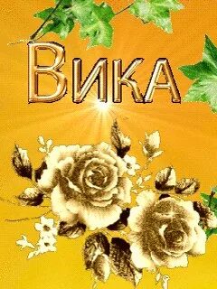 Вики или вике