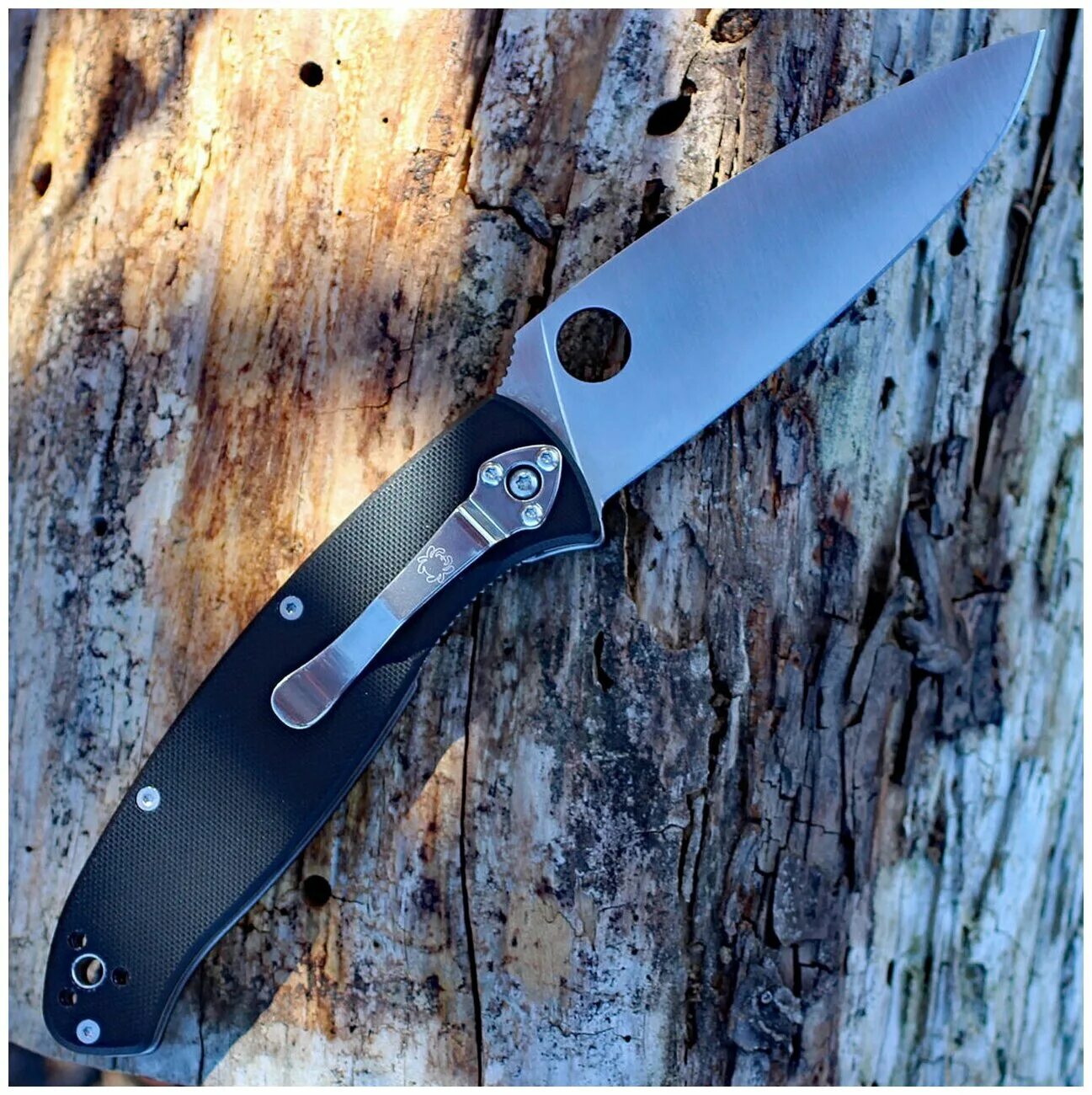 Spyderco resilience. Spyderco Resilience c142gp. Нож Spyderco Resilience 142gp. Spyderco 8cr13mov. Spyderco Resilience Lightweight.