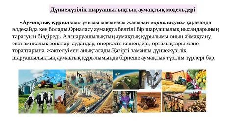 Әртүрлі порнографиялық модельдердің презервативтері