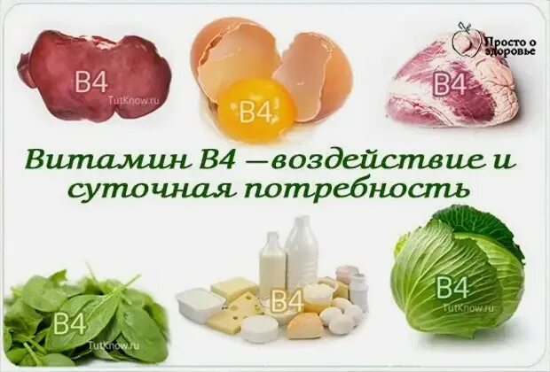 Витамин б потребность. Холин - витамин в4 и витамин в. Витамин в4 Холин. Витамин b4 Холин. Витамин b4 Холин в продуктах.