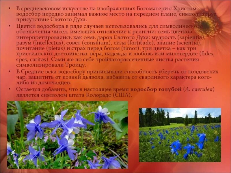 Растения символы разных стран
