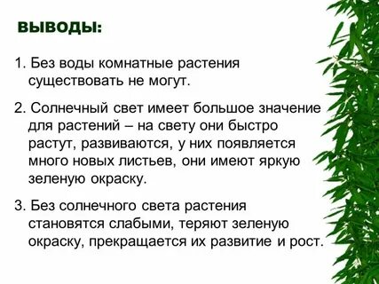 Цвет в жизни растений