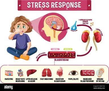 System response