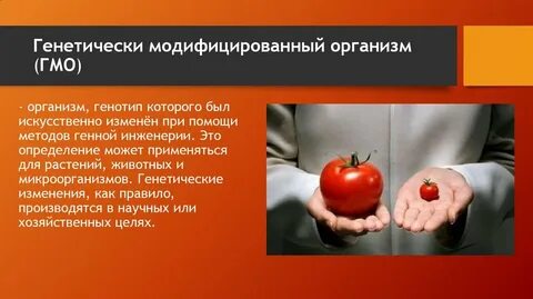Гмо организмы