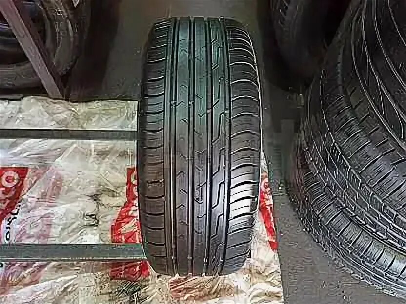 205/60 r15 cordiant sno max. Кордиант спорт резина 15 радиус. Кордиант сноу кросс 2 195/65 r15. Cordiant snow cross pw-2. Cordiant gravity 195/65 r15 95h.