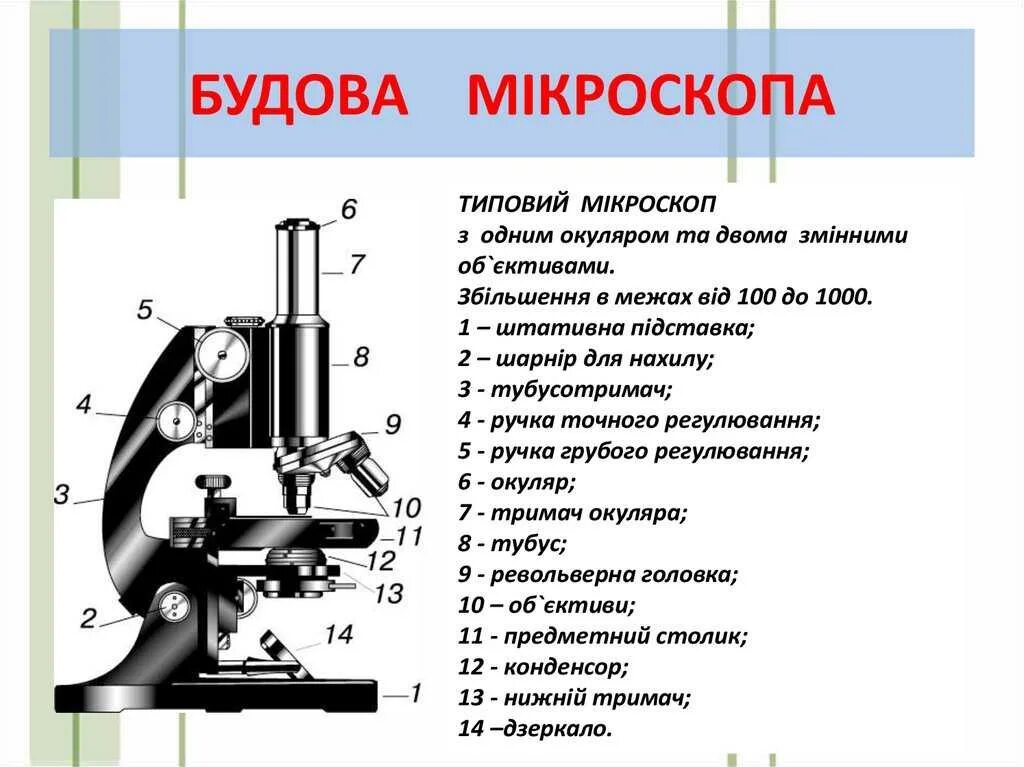 Строение микроскопа 5 класс. Строение микроскопа 5 класс биология. Строение микроскопа 5. Схема светового микроскопа.