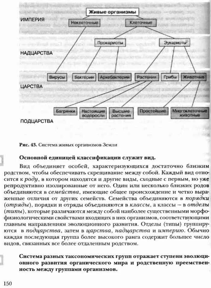 Наибольшая единица классификации живых организмов. Систематические единицы в биологии животных и растений. Современная система классификации живых организмов. Царство тип отдел класс порядок семейство род вид. Наибольшая единица классификации живых организмов.