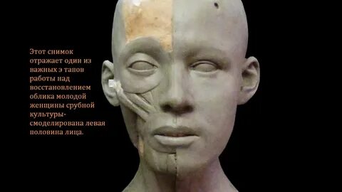 Скульптурная реконструкция