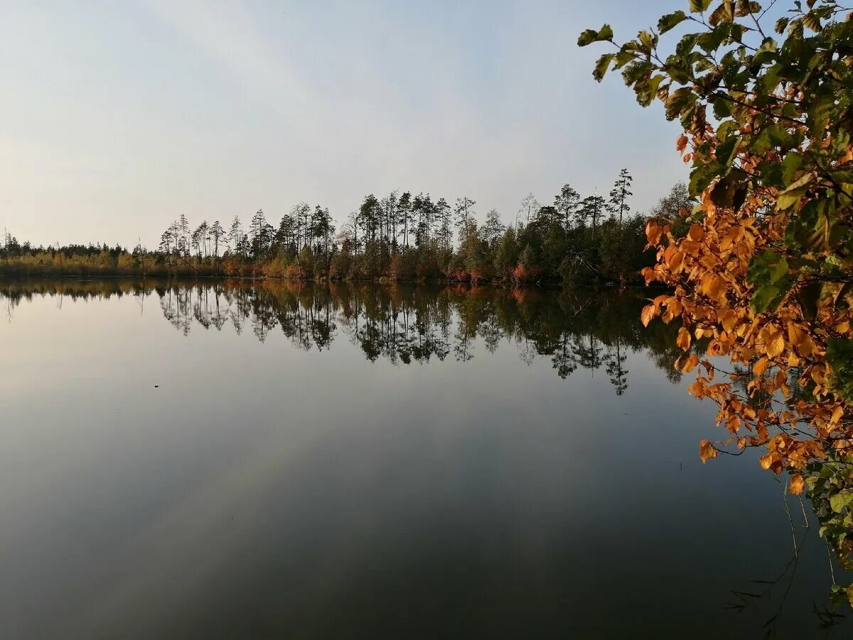 Озера ивановского района. Озеро Поныхарь Южский район. Озеро Нельша Ивановская область. Озеро Нельша Южский район. Озеро Западное Южский район.