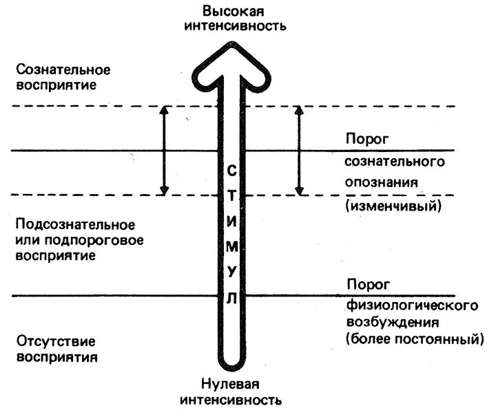 Порог психология. Порог восприятия. Психологический порог восприятия. Подпороговое восприятие. Пороги ощущений. Чувствительность. Субсенсорный диапазон.