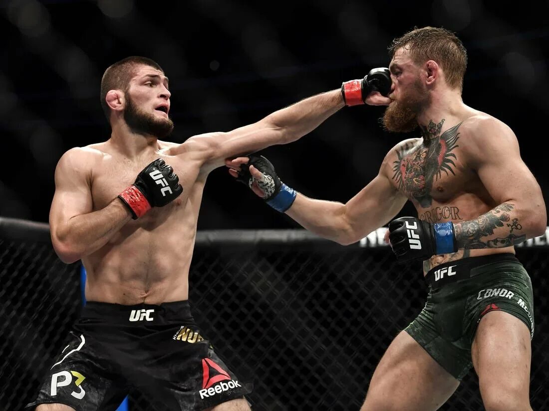 Самый молодой боец ufc. Хабиб нурмагомедов ufc. бой хабиба нурмагомедова и конора макгрегора. хавьер мендес бои. хабиб нурмагомедов и конор макгрегор.