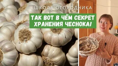 Можно хранить чеснок в банке