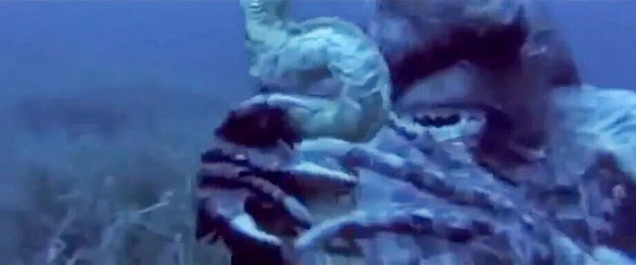 остров амфибий / остров людей-рыб / l'isola degli uomini pesce / island of the fishmen (1979). барбара бах остров чудовищ. остров амфибий 1979. остров амфибий / l'isola degli uomini pesce. остров амфибий 1979.