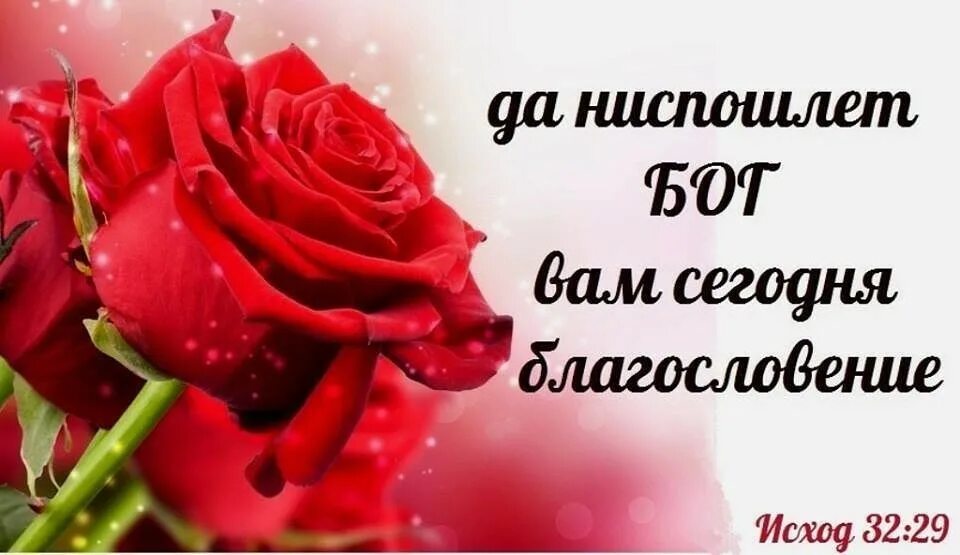 Ниспослать. Открытки с добрым утром и Божьим благословением. Христианские открытки с благословением. С добрым утром Божьего благословения. Доброе утро Божьих благословений.