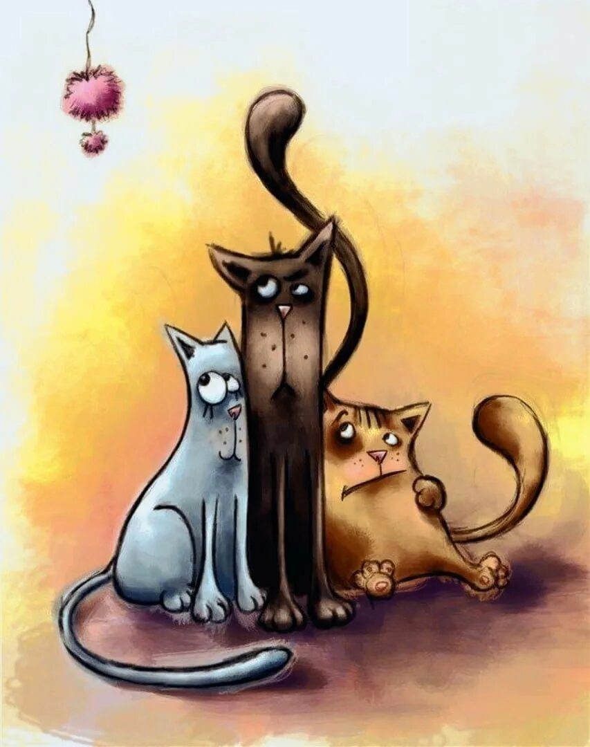 Коты рисунки. Смешные рисунки. Котик рисунок. Смешные открытки с котом
