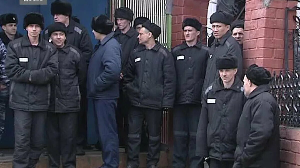 Сколько женщин сидит в тюрьмах россии. ИК 2 Чернокозово.