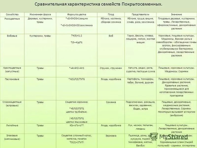 Признаки классов отделов покрытосеменные. Таблица семейство представители плод формула цветка. Таблица 11 основные признаки семейств цветковых растений. Признаки семейств отдела цветковые таблица. Признаки семейств цветковых растений таблица.