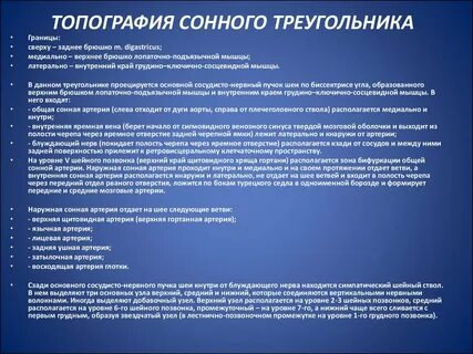 Сонная значение