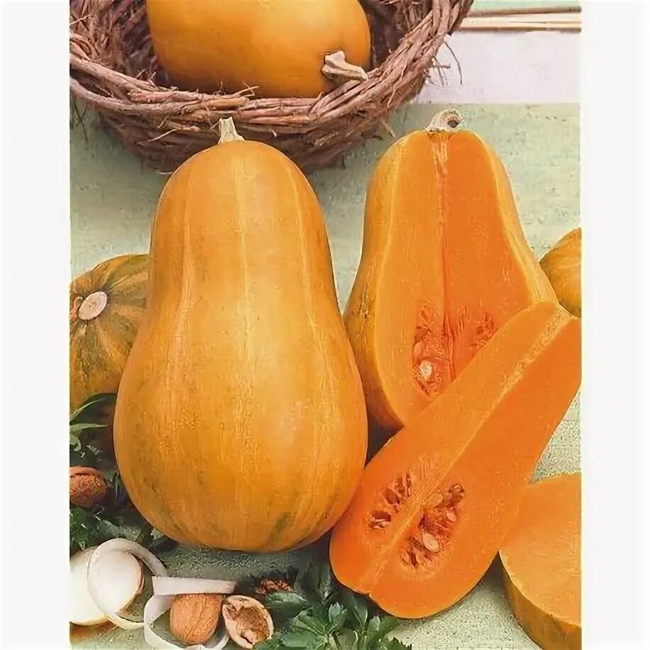 Дынная тыква фото Geisha F1 Hybrid Kabocha Winter Squash Kabocha squash, Winter squash, Winter squ