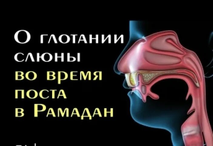 Можно ли глотать слюну во время оразы. Глотание слюны во время поста Рамадан.