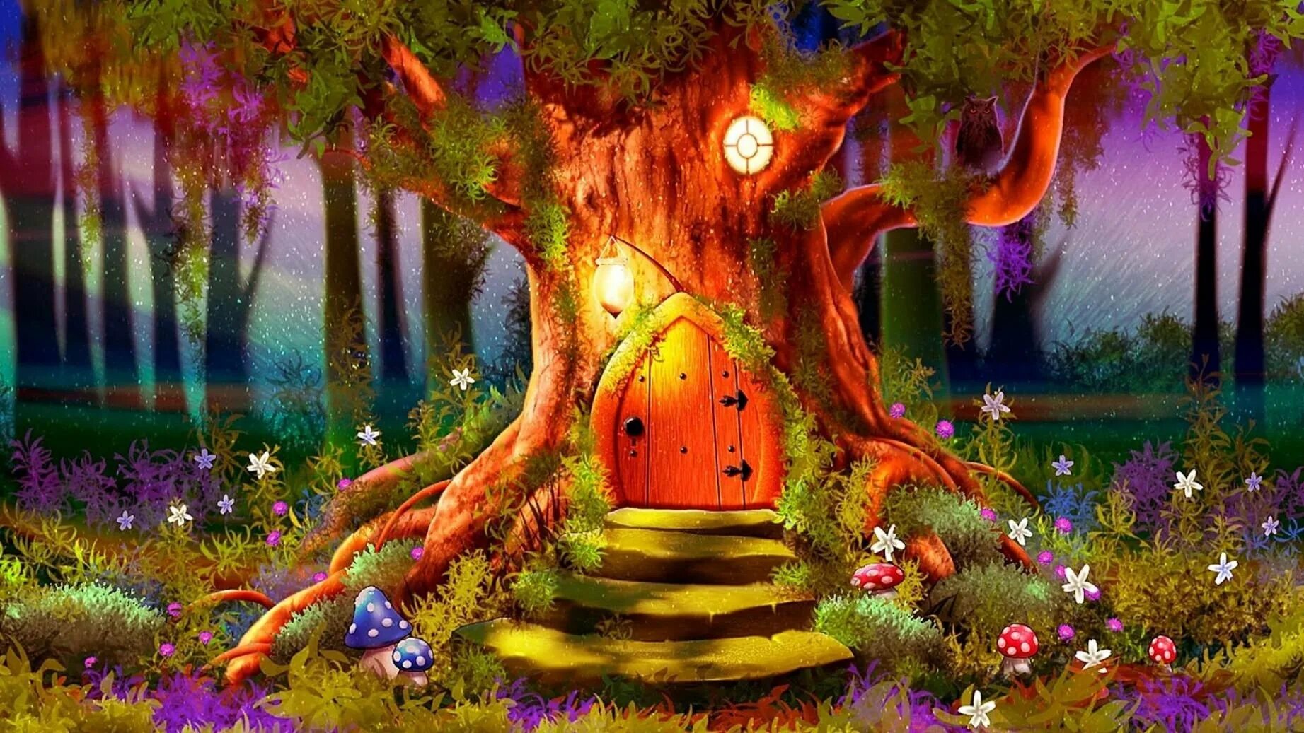Сказочные картинки. Сказочное дерево. Сказочный лес. Волшебный лес. Сказочный фон.
